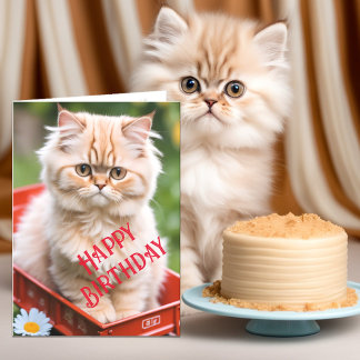Cartão Gato Tabby de Gengibre e Creme no Carrinho Vermelh