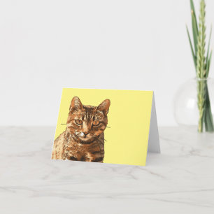Cartão Gato Tabby Deslumbrante Com Olhos Fixos Contorno P