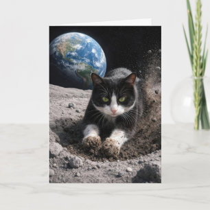 Cartão Gato Tuxedo de Aniversário Cavando uma Cratera Lun