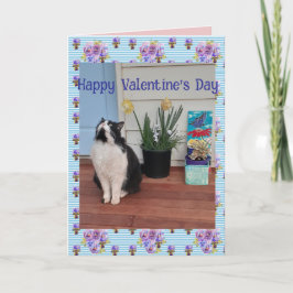 Cartão Gato Tuxedo Engraçado Dia dos Namorados Azul