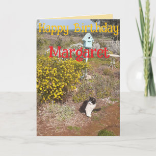 Cartão Gato Tuxedo Fofo Vermelho Amarelo Aniversário Nome