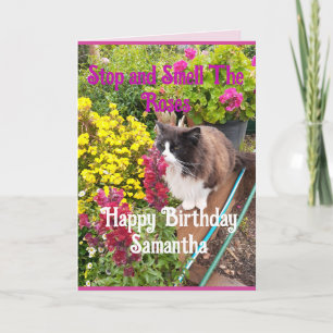 Cartão Gato Tuxedo Fungando Flores Aniversário Engraçado