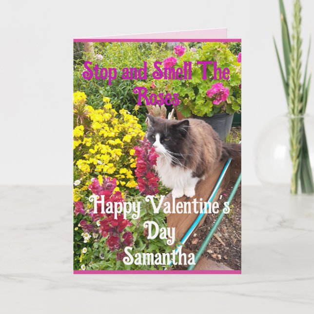 Cartão Gato Tuxedo Fungando Flores Dia dos Namorados Engr (Frente)