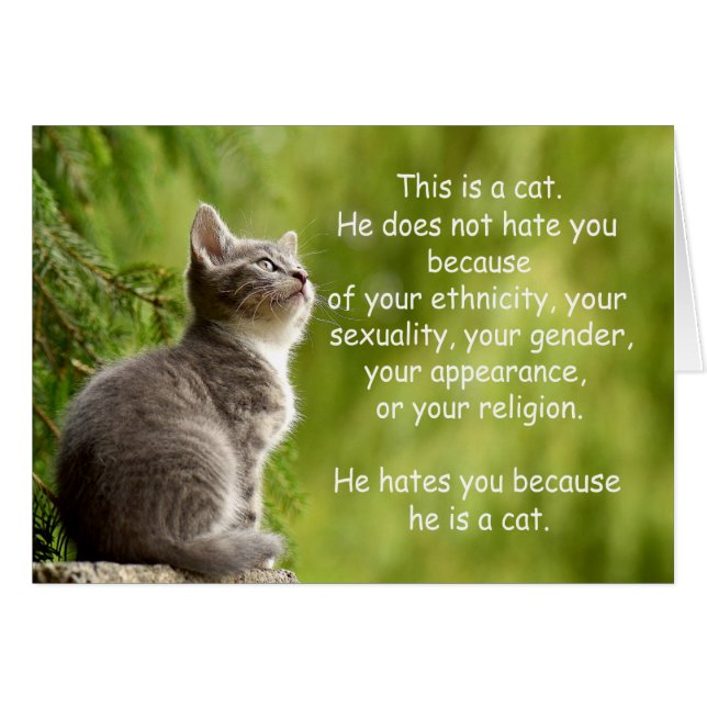 Cartão Gatos (Frente Horizontal)