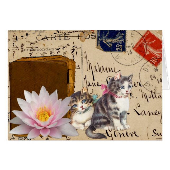 Cartão Gatos Antigos e Livro (Frente Horizontal)