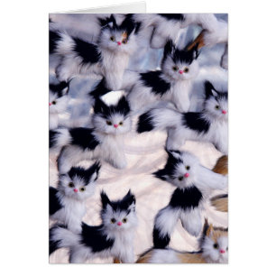Cartão gatos assustadores