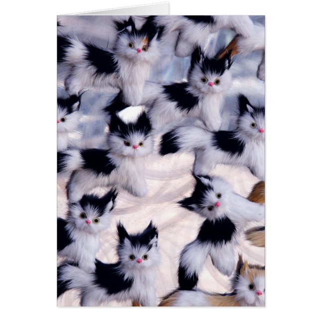 Cartão gatos assustadores (Frente)