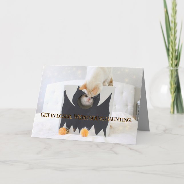Cartão Gatos Bonitos Fatos Fumos De Bat De Halloween (Frente)