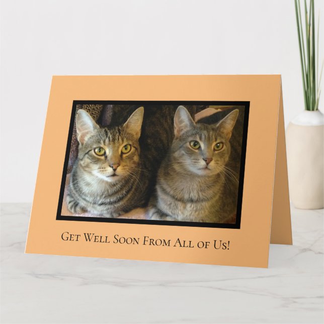 Cartão Gatos Bons E Felizes Papagaio Começa Bem Em Breve (Frente)