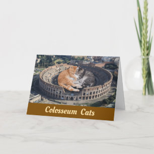 Cartão Gatos Colosseum