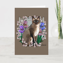 Cartão Gatos-costões - Jardim Primavera