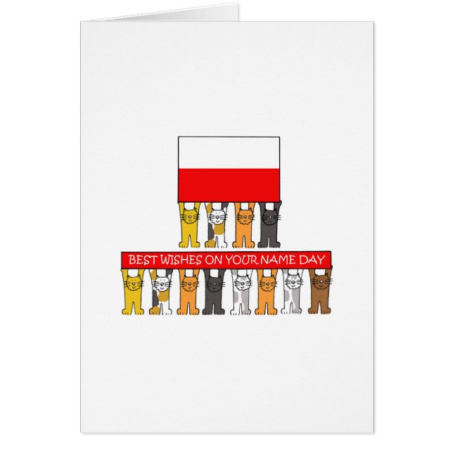 Cartão Gatos de Cartografia no Dia da Polônia (Frente)