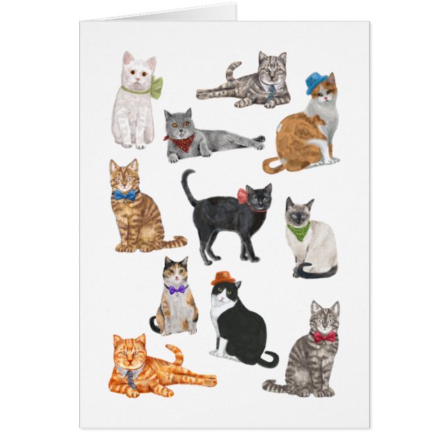 Cartão Gatos De Porteiro (Frente)
