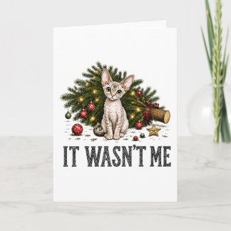 Cartão Gatos Devon Rex Engraçados Natal Não Fui Eu