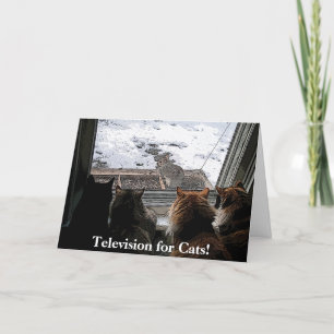 Cartão Gatos e Esquilo