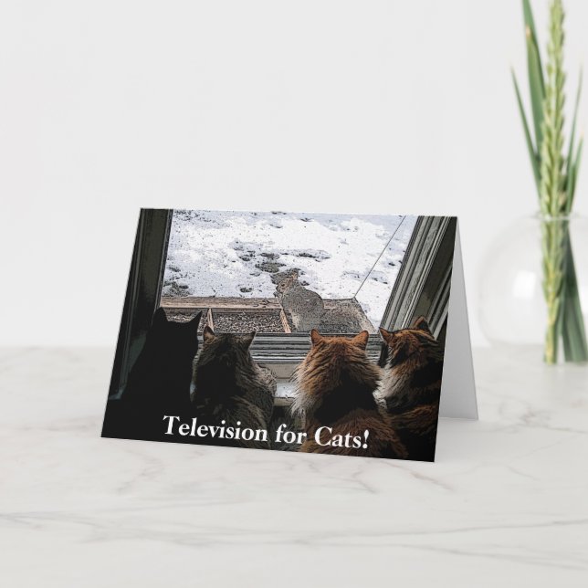 Cartão Gatos e Esquilo (Frente)