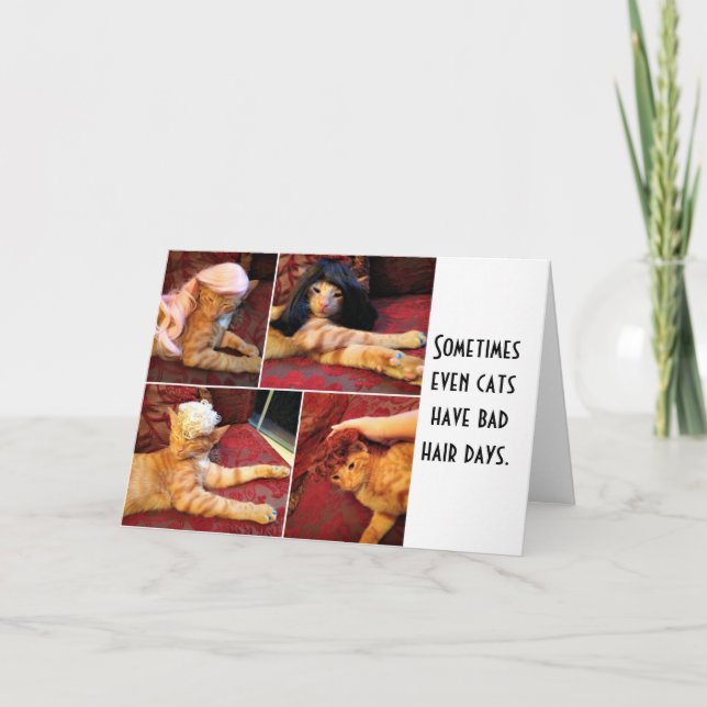 Cartão Gatos em perucas (dentro de vazio) (Frente)