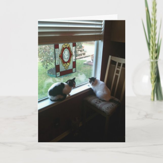 Cartão Gatos esperando (Frente)