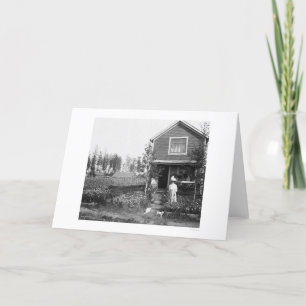 Cartão Gatos Home Fairbanks Alaska 1916