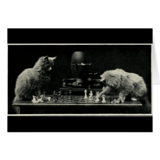 Cartão Gatos Jogando Xadrez