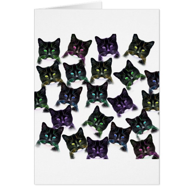 Cartão Gatos legal (Frente)