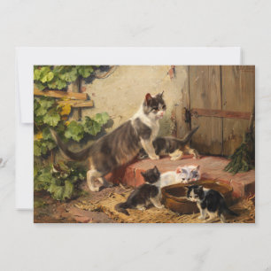 Cartão Gatos na tigela de leite   Julius Adam, o Younger