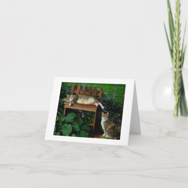 Cartão Gatos no jardim (Frente)