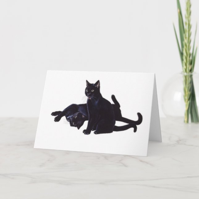 Cartão gatos pretos (Frente)