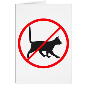 Cartão Gatos Proibidos!