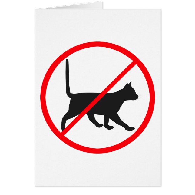 Cartão Gatos Proibidos! (Frente)