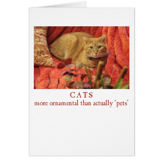 Cartão Gatos são ornamentais (Frente)