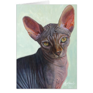 Cartão Gatos Sunitha do gato da esfinge de Sphynx