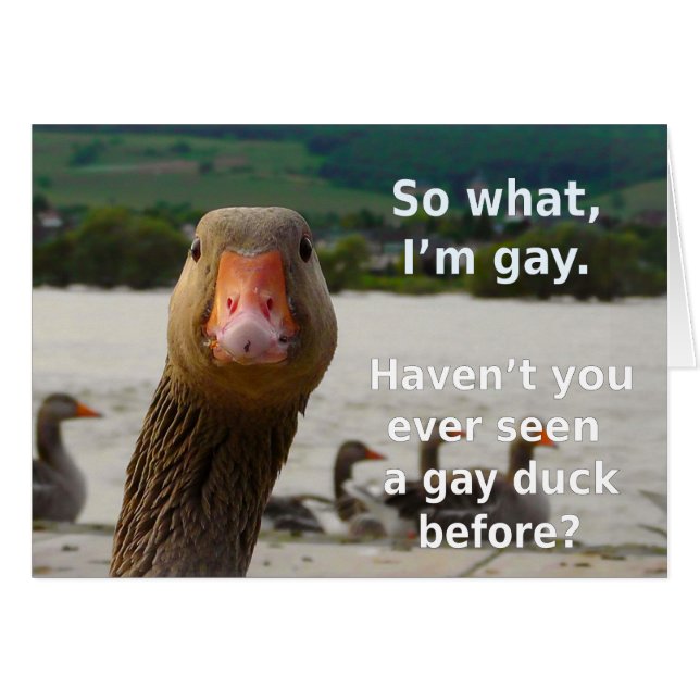 Cartão Gay Duck Pride (Frente horizontal)