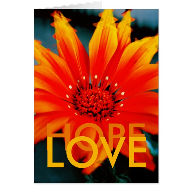 Cartão GAZANIART (Frente)