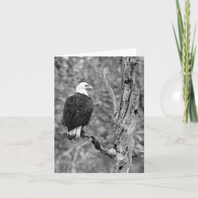 Cartão Gazing Eagle B&W Note Card (Frente)