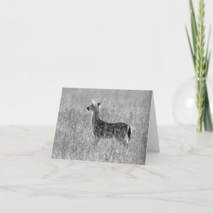 Cartão Gazing Fawn