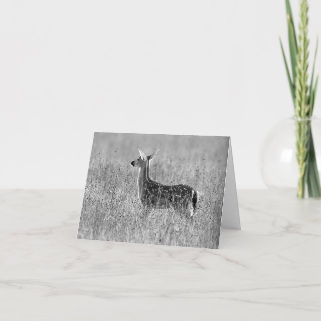 Cartão Gazing Fawn (Frente)