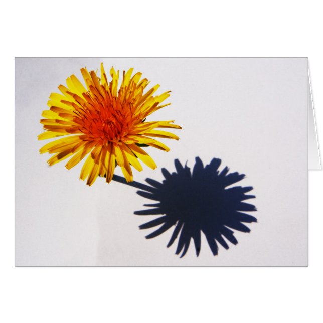 Cartão Gcnm Dandelion e Shadow (Frente Horizontal)