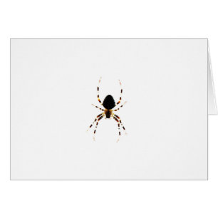 Cartão Gcnm de aranha