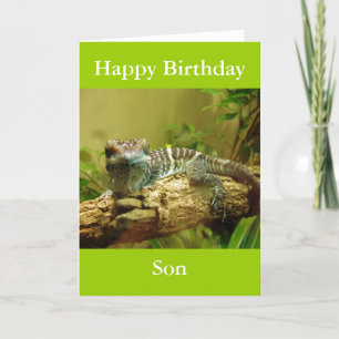 Cartão Gecko Birthday Card