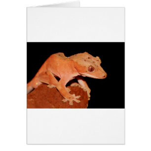 Cartão gecko crested