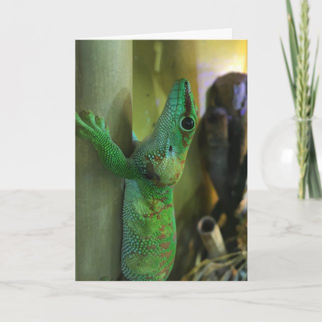 Cartão gecko greeting card #2 (encouragement) (Frente)