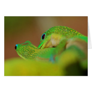 Cartão Gecko Love