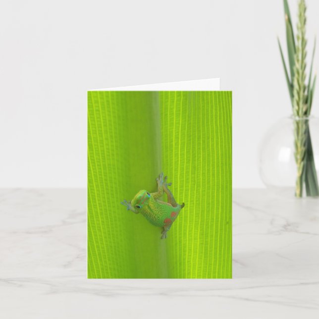 Cartão Gecko Notecard (Frente)