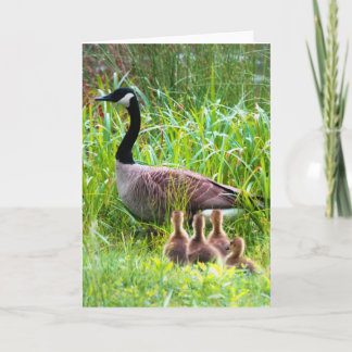 Cartão Geese Crossing