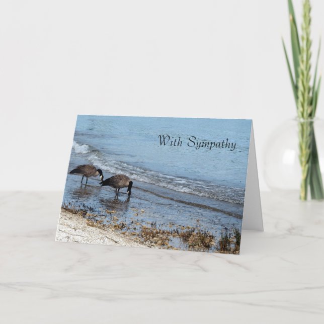 Cartão Geese Sympathy Card (Frente)