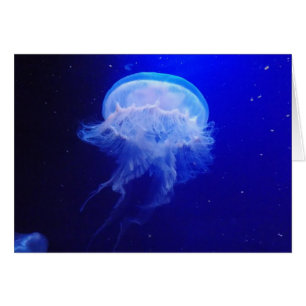 Cartão Geléia Bely