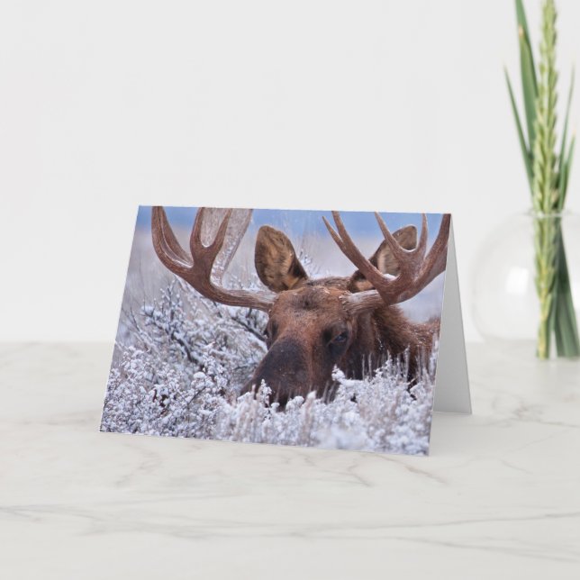 Cartão Gelo e neve | Grand Teton National Park, Wyoming (Frente)