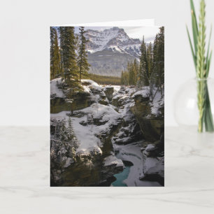 Cartão Gelo e neve Jasper National Park Alberta, Canadá