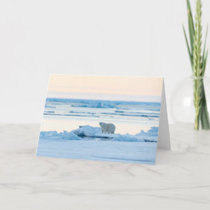 Cartão Gelo e neve Polar Bear Iceberg Noruega